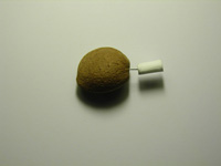 Francisco Marcelo - caroço de pessego